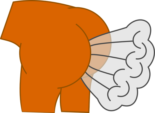 Does your flatulence pass the test? Things you can improve on today