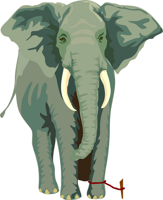 Breaking Free: The Elephant's Lesson on Overcoming Limiting Beliefs