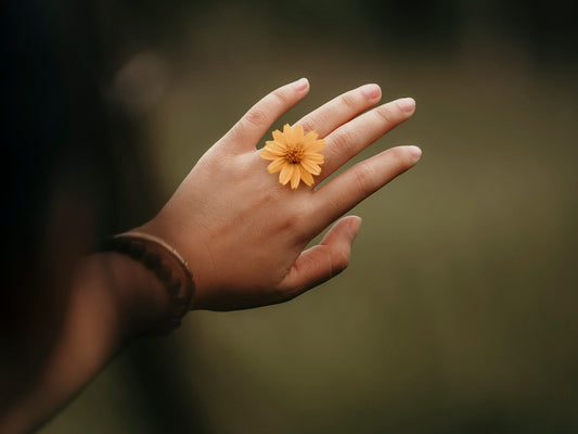 The Beauty of Benevolence: A Tale of Selfless Service