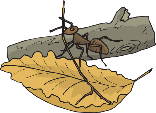 The Ant and the Pigeon: A Tale of Reciprocal Kindness