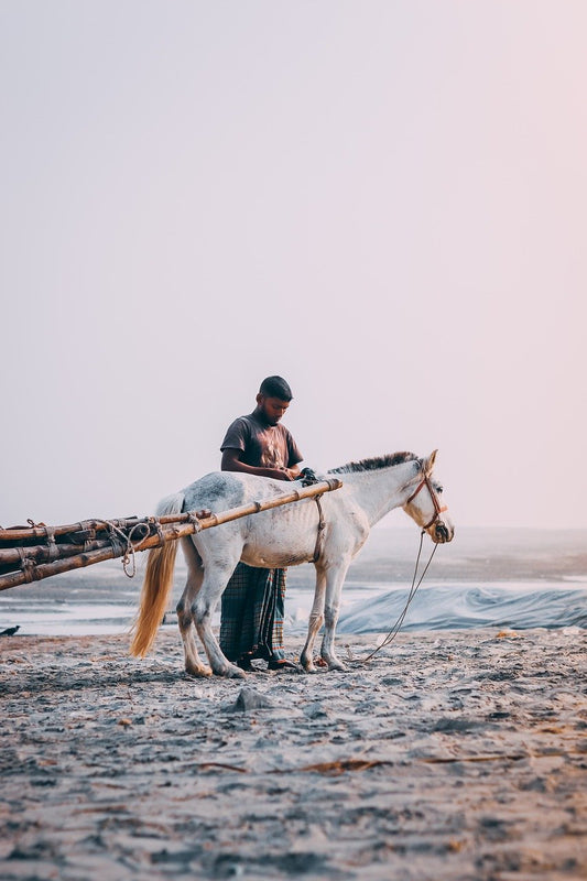 The Rattling Sound and the Thirsty Horse: A Spiritual Lesson