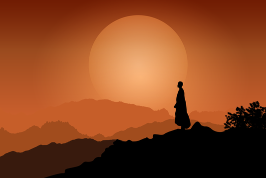 The King's Solace: A Tale of Resilience