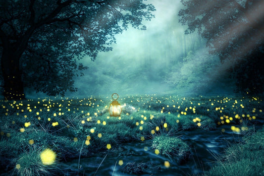 Nature and Spirituality: A Sacred Connection