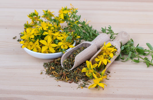 Herbalism and Spirituality: An Enchanted Union