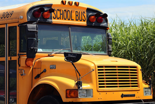 The Stuck Bus and the Wisdom of Deflating Ego
