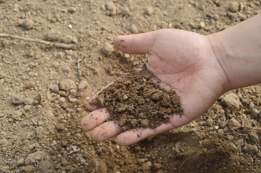 The Greedy Landlord and the Basket of Soil