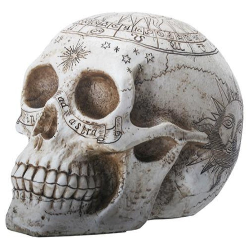 ASTROLOGYSKULLC8SideView