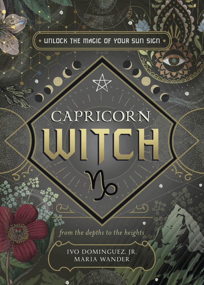 Capricorn Sun Sign Series Book Cover