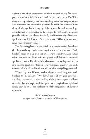 Fire Magic Book Foreword 2