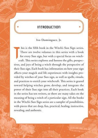 Leo Sun Sign Series Book Introduction