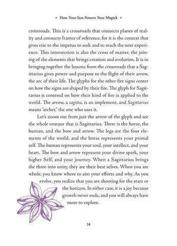 Sagittarius Sun Sign Series Book pg. 14