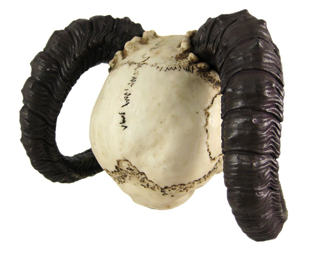 Skull of the Horned Beast Statue – Detailed Ram-Horned Skull with Vampire Fangs – Cold Cast Resin Nightmare Creature Sculpture 2