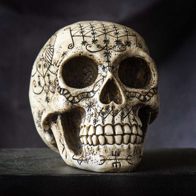 VOODOOSKULLC8AestheticView