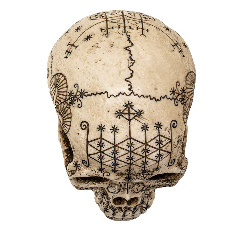 VOODOOSKULLC8LateralView