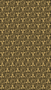 Tarot Black & Gold Edition Back