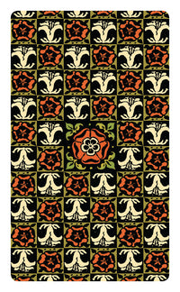 Radiant Wise Spirit Tarot Mini Back