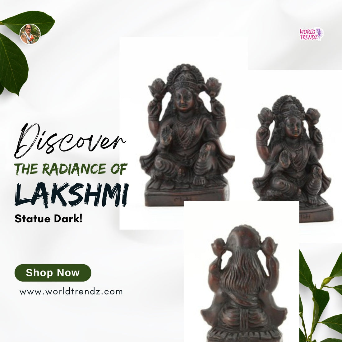 Unveiling the Enigmatic Tale of the Dark Lakshmi Statue: A Journey into Symbolism and Mythology