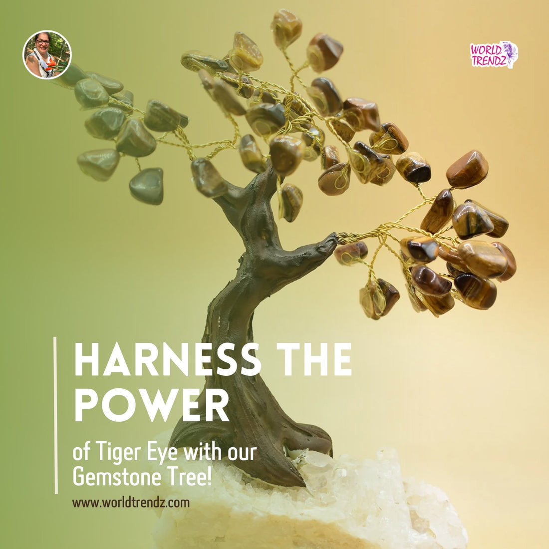 The Beauty and Mystique of Tiger Eye Gemstone Trees on Stone Bases