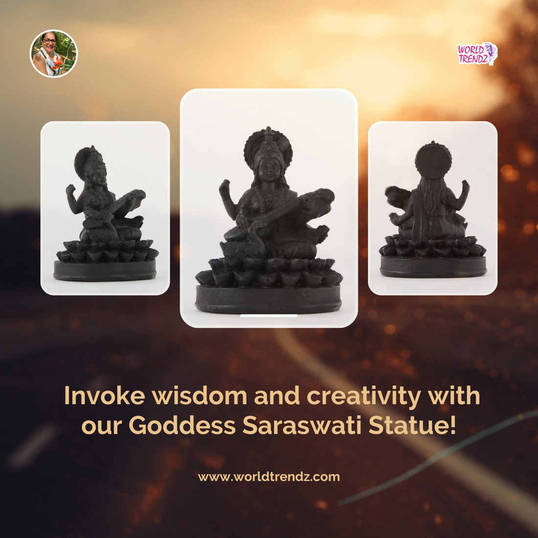 The Beauty and Wisdom: The Allure of the Dark Small Goddess Saraswati Statue