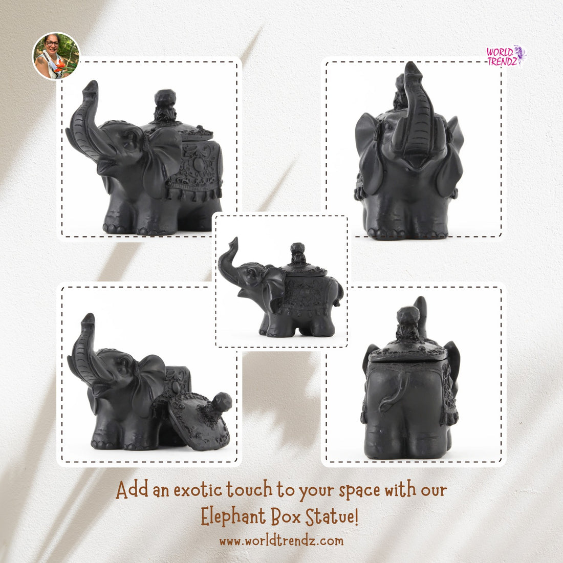 Captivating the World: The Enchanting Story Behind WorldTrendz's Elephant Box Statue Rectangle Dark