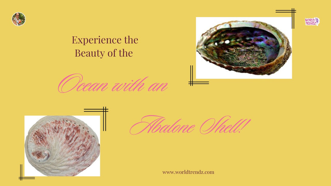 The Beauty of Abalone Shell: Nature's Jewel
