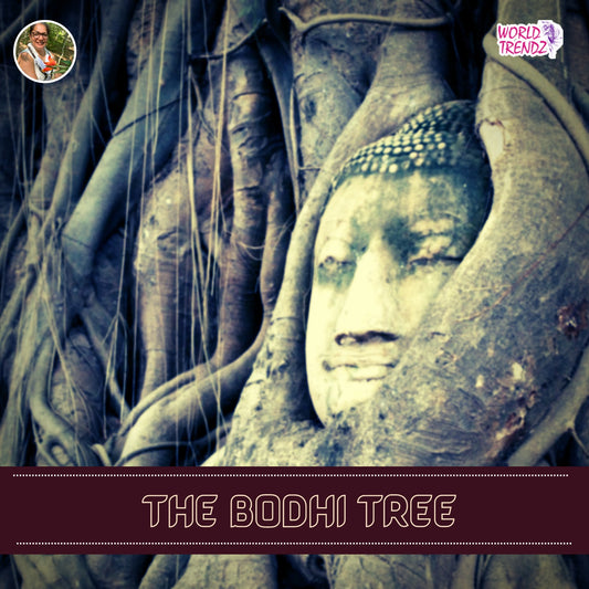 Questions You Might Be Afraid to Ask About The Bodhi Tree