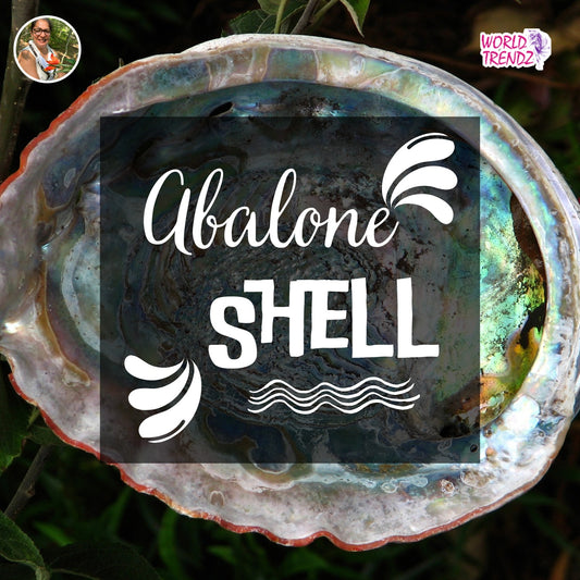 Why You Should Spend More Time Thinking About Abalone Shell