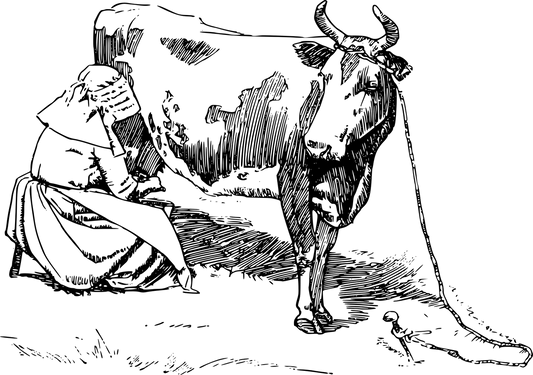 Divine Lessons: The Tale of Shri Krishna's Grace