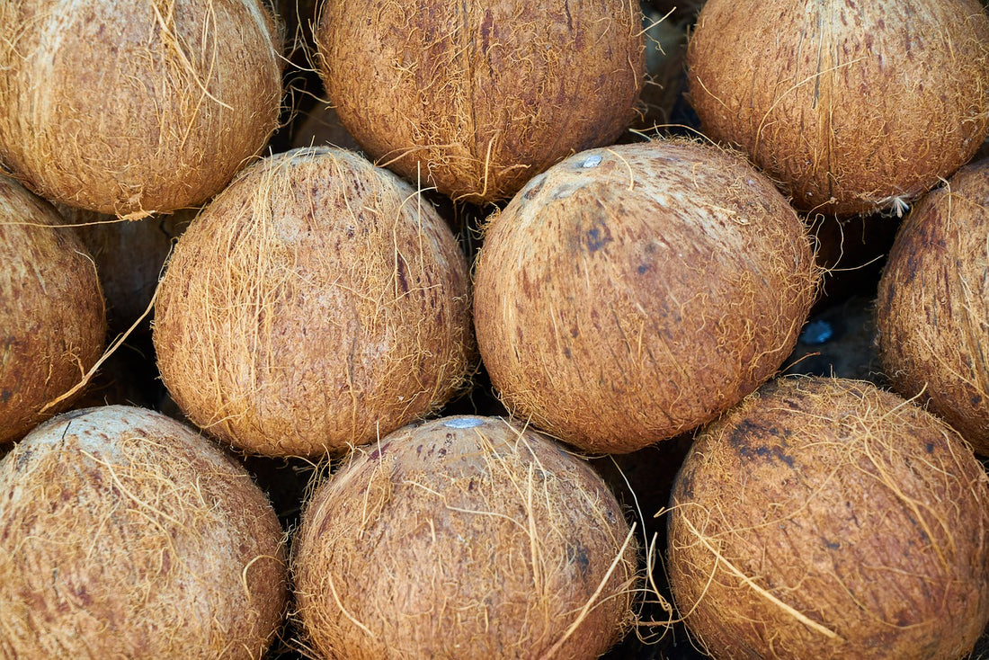 The Mystical Coconut: A Symbol of Life, Transformation, and Sacred Ritual