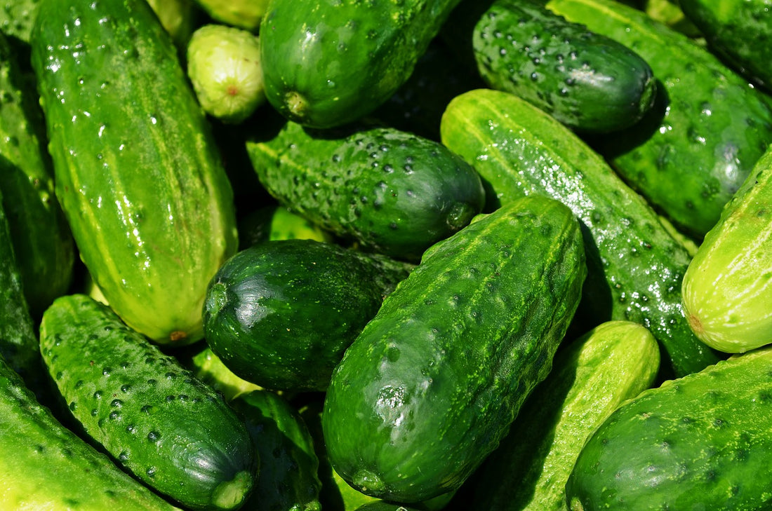 The Bitter Cucumber Lesson
