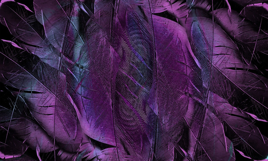 The Basket of Feathers: A Lesson in Words