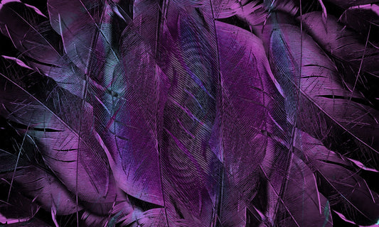 The Basket of Feathers: A Lesson in Words