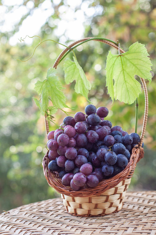 The Basket of Grapes: A Lesson in Gratitude
