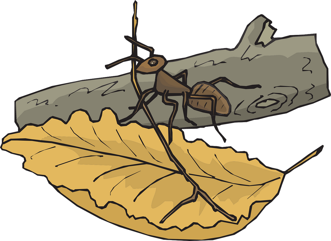 The Ant and the Pigeon: A Tale of Reciprocal Kindness