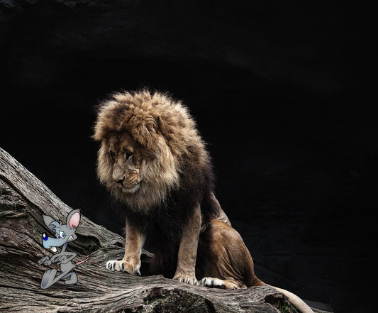The Lion's Offer to the Cat: Unveiling the Bitter Truth of Today's World