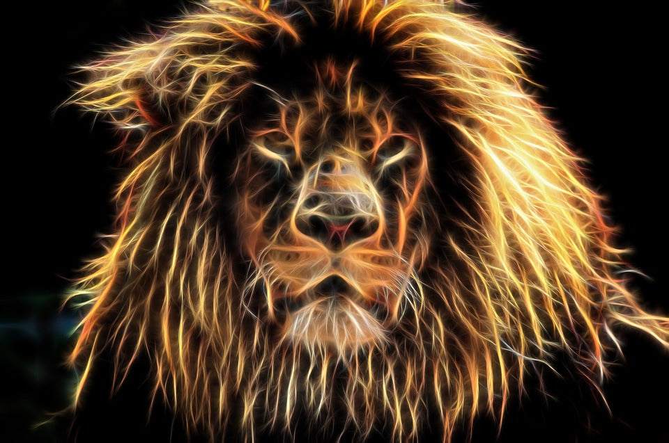 Leo: Savvy, Smart and Mistakes