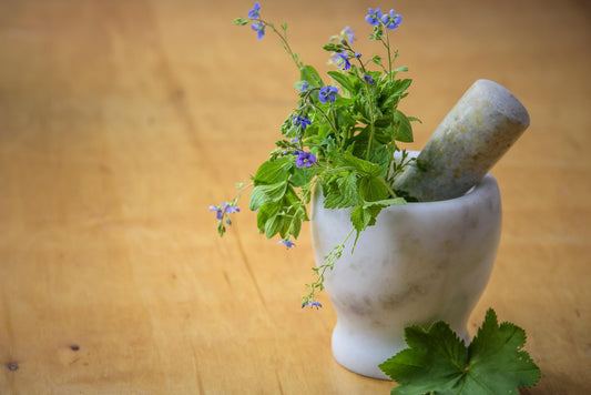 The Next Big Thing in Traditional Remedies