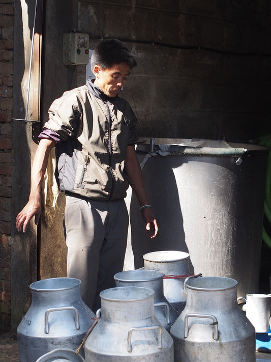 The Dishonest Milkman