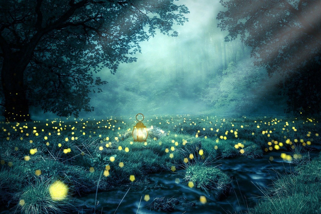 Nature and Spirituality: A Sacred Connection