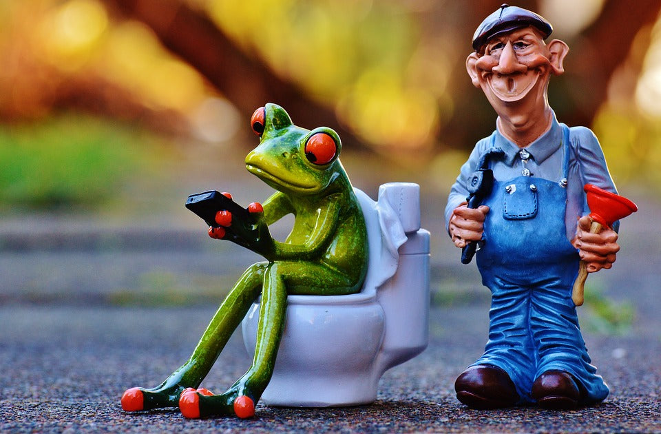 Why the Biggest "Myths" About Toilet May Actually Be Right