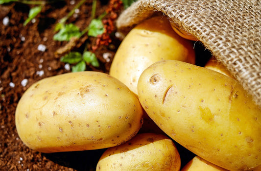 The Weight of Envy: Lessons from the Bag of Potatoes