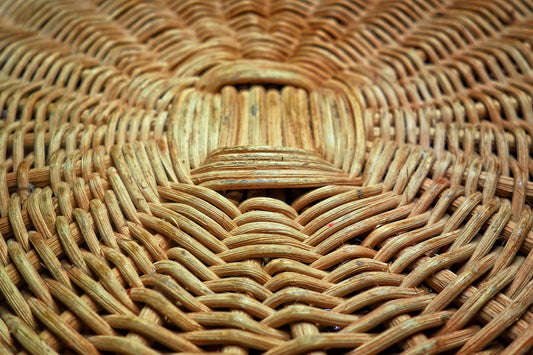 The Lesson of the Coal Basket