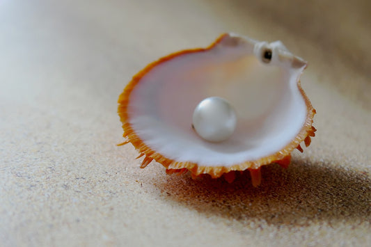 A Handful of Pearls: The Monk's Strange Demand with Deep Meaning