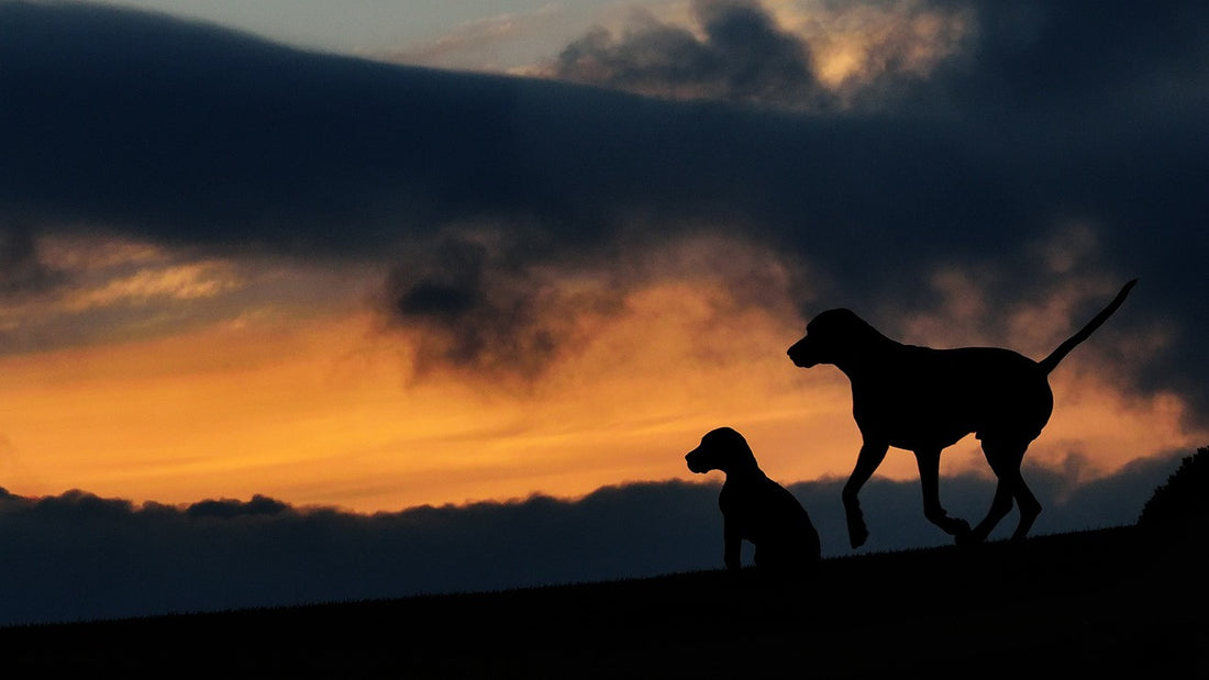 The Lesson of Giving and Receiving