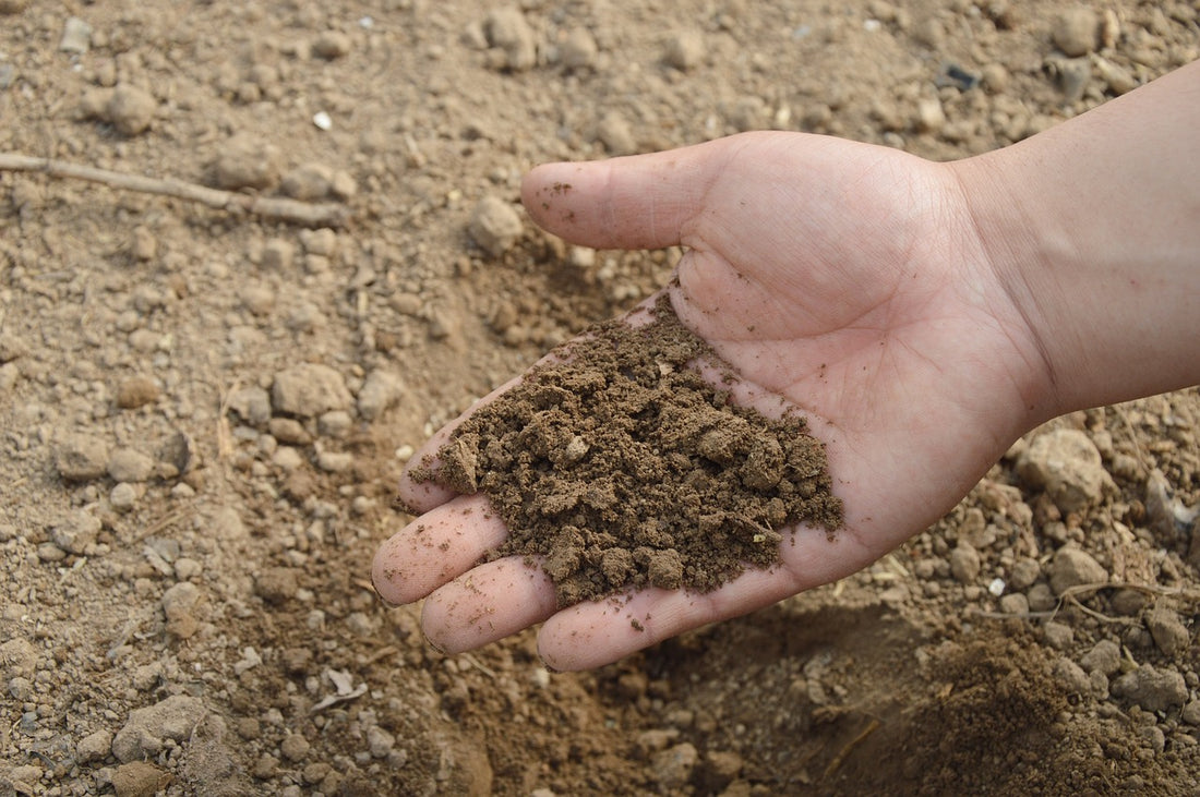 The Greedy Landlord and the Basket of Soil