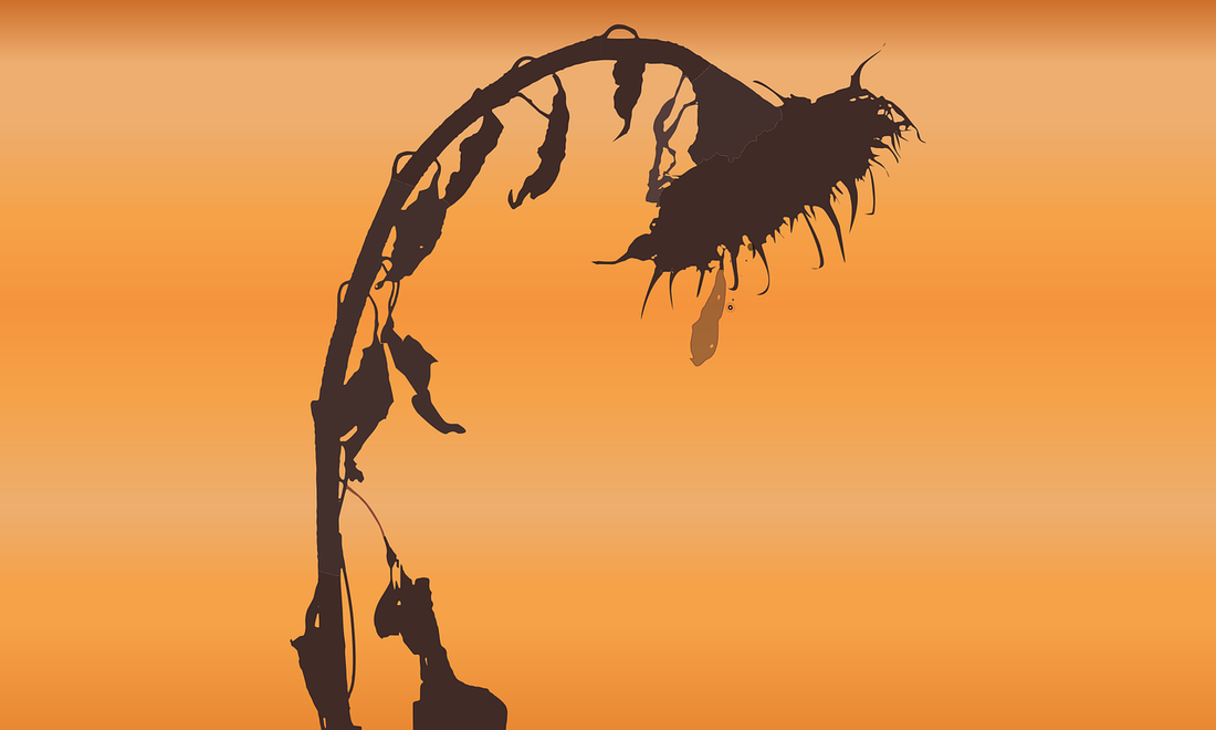 Death & Dying: A Spiritual Perspective on Life's Final Transition