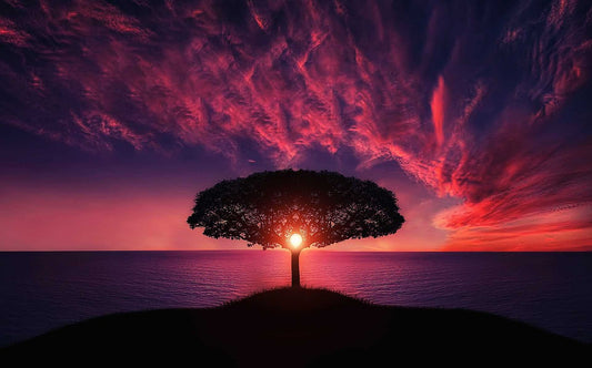 Embracing the Divine Dance of Nature: An Exploration of Nature-Based and Pagan Beliefs