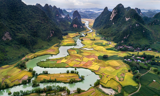 The Lesson of Discipline: A River's Journey