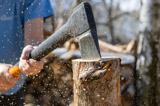 The Woodcutter's Revelation