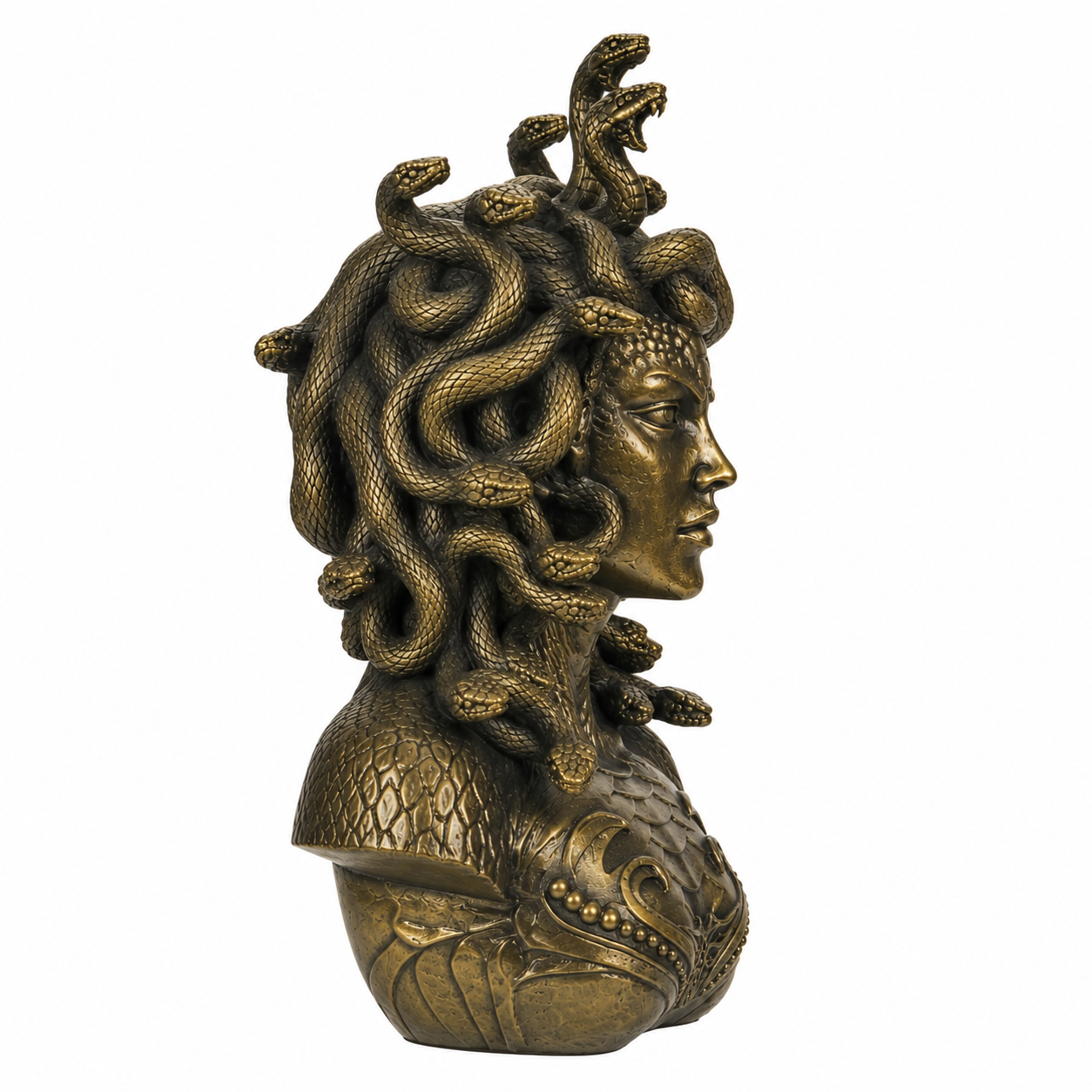 Bronze Medusa Bust with snakes on a white background